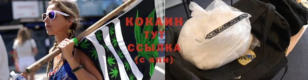 молекула духа Абинск